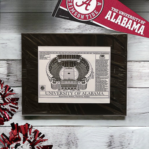 University Football Stadium Art Print