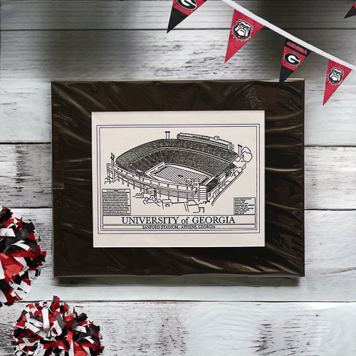 University Football Stadium Art Print