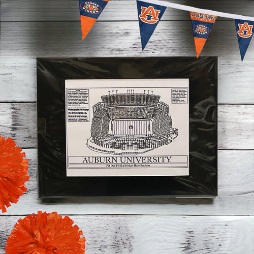University Football Stadium Art Print